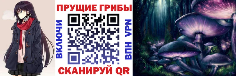 Псилоцибиновые грибы GOLDEN TEACHER Мурманск
